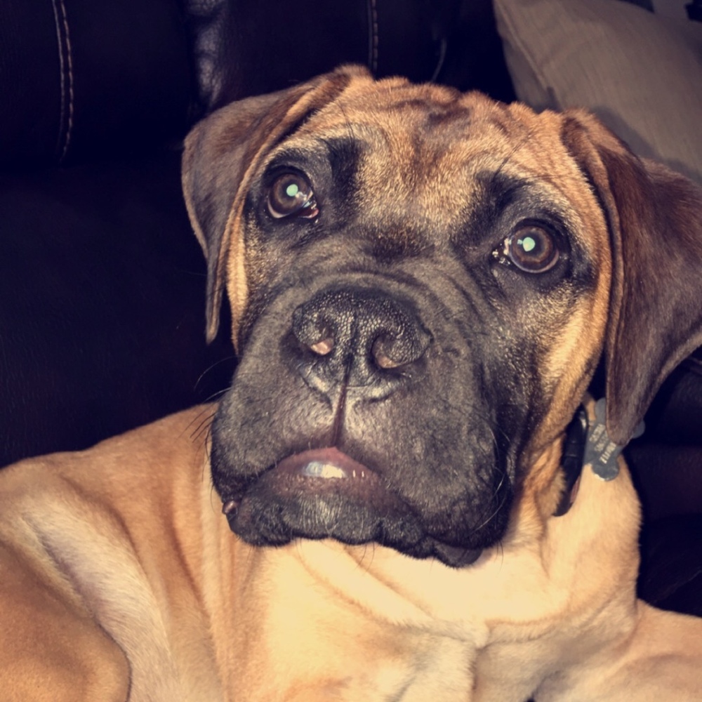 Meet your Posher, Mike